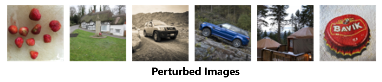 perturbed_images